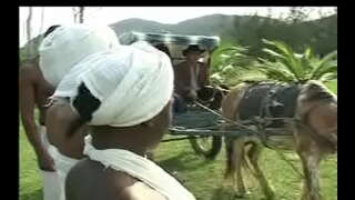 ���्हणून Negras दा senzala